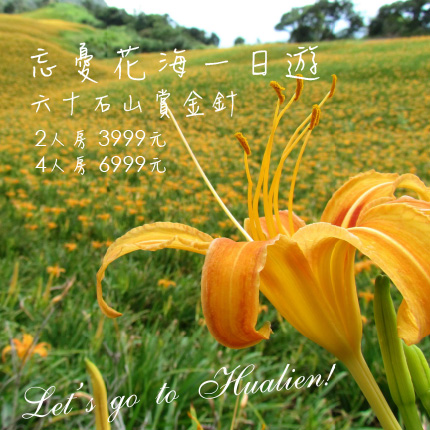 忘憂花海一日遊花蓮六十石山賞金針