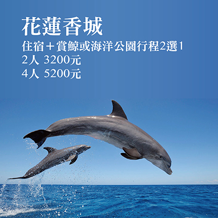 花蓮香城賞鯨或海洋公園行程2選1